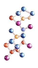 Color-coded molecular structure illustration on white background.