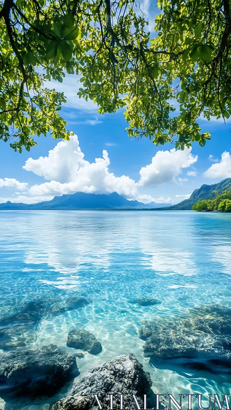 Coastal shallows, distant mountains and overhead foliage align