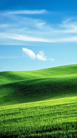 Sunlit green hills rolling under vivid blue sky.