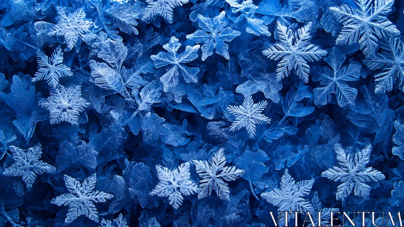 Macro study reveals crystalline geometry of layered snowflakes