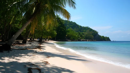 Tropical Shoreline with Palm Trees and Turquoise Waters.