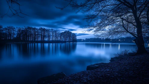 Long exposure night photograph records trees by still water