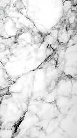 High-key white marble surface with fine grey veining pattern.