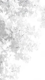 Soft white blossoms drifting across a bright gentle sky.