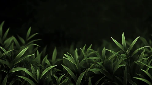 Emerald bamboo leaves under deep shadowed forest light.