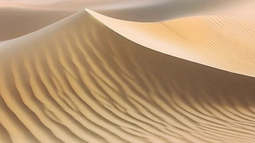 Wind-sculpted desert sand dune with flowing linear ridges