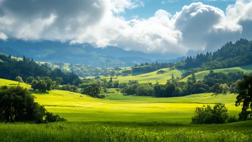 Sunlit temperate valley meadow beneath dramatic cumulus sky