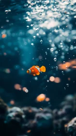 Bright clownfish drifts gently through shimmering blue water