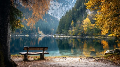 Autumn lakeside bench facing mirrored forest reflections.