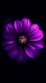 Luminous Magenta Bloom Radiates Golden Heart in Darkness.