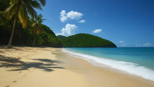 Tropical Beach Paradise. Pristine Sand Cove with Emerald Palms