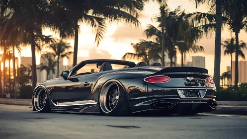 Black convertible sports car parked on palm lined street.