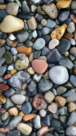 Wet multicolored river pebbles forming natural mosaic.