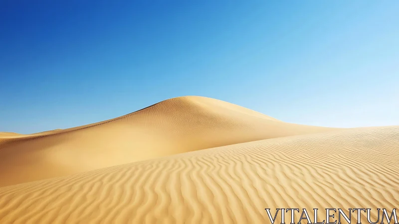 Golden desert dunes rise beneath a clear, vivid blue sky.