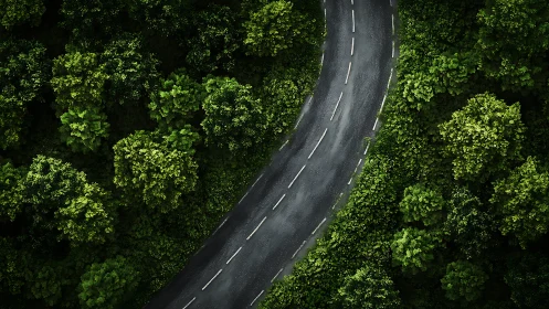Curved asphalt road winding through dense green forest, aerial view.