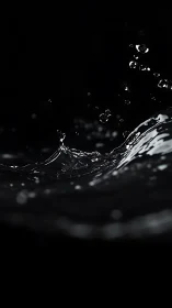 Liquid crescendos rise from darkness and freeze mid-splash