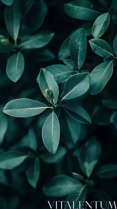 Emerald leaves drift through twilight hush and quiet air.