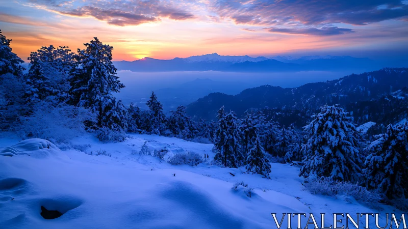 Snow covered mountain forest at sunrise with glowing sky.