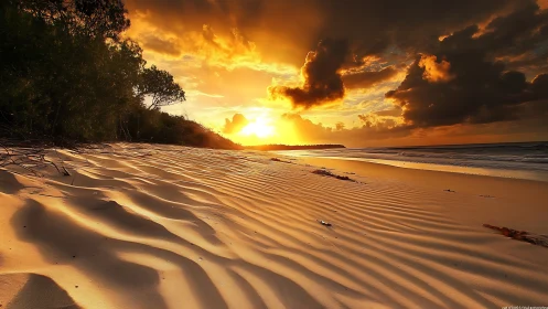 Golden sunset light ripples across windswept coastal sand