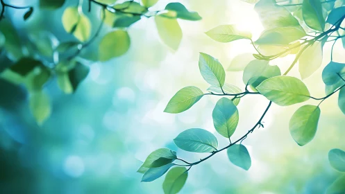 Sunlit Green Leaves with Soft Bokeh Background in Nature Style.