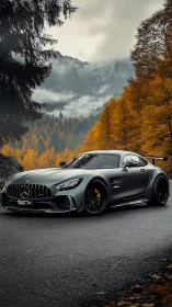 Mercedes sports coupe on wet forest road in autumn landscape.