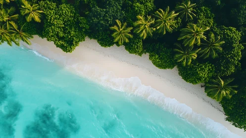 Tropical Island Coastline: Aerial Beach View.