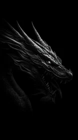 Monochrome dragon profile with razor scales in deep shadow.