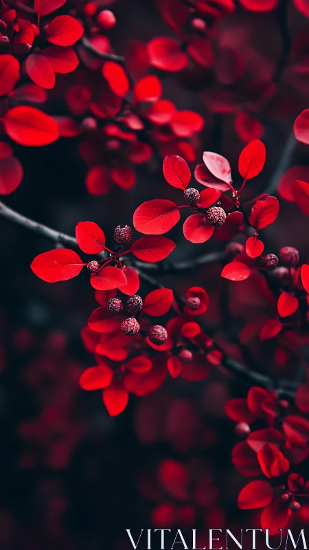Crimson leaves and berries glow against a dark woodland backdrop.