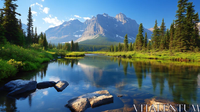 Alpine river plain with conifer forest and craggy granite massif