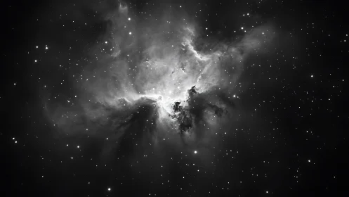 Monochrome nebula glows amid dense starfield in deep space.