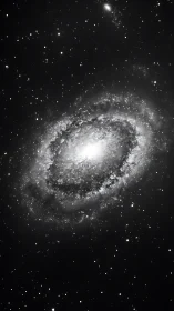 Monochrome spiral galaxy core with dense stellar halo field.
