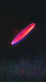 Neon frisbee slices midnight air above whispering grasslands