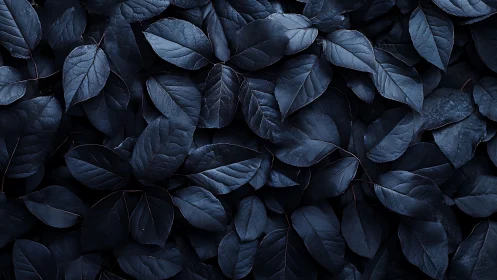 Midnight botanical leaf pattern in deep indigo tones.