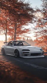 White stance car under copper autumn trees at twilight.