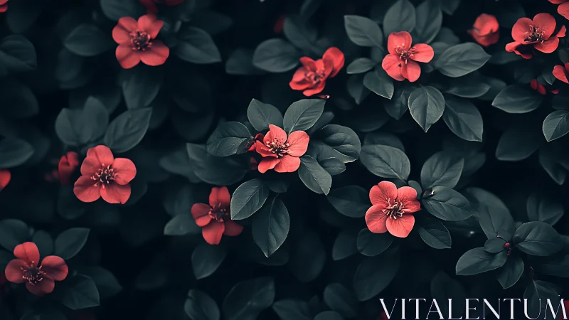 Coral Blooms Dance Among Deep Green Foliage