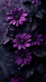 Purple Daisies Against Dark Textured Background.