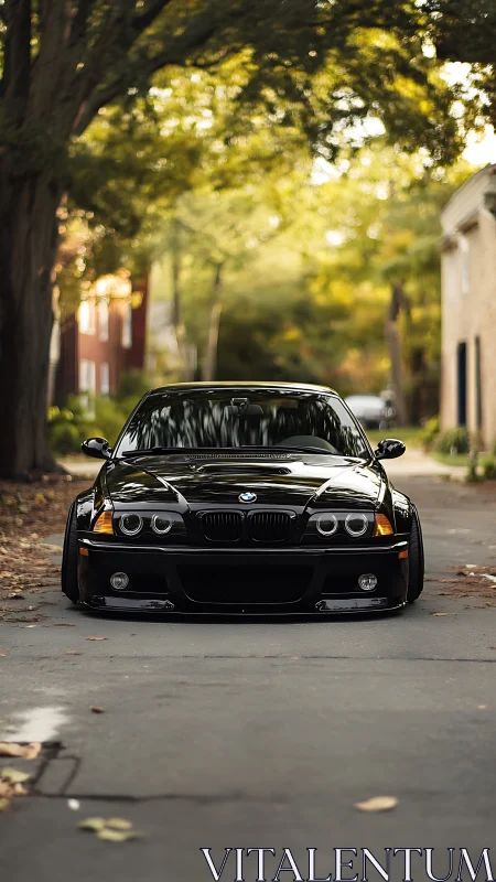 Lowered black BMW E46 sedan on tree-lined suburban lane