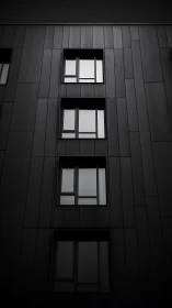 Monochrome facade study with vertical window grid composition.