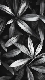 Monochrome leaves weave quiet geometry in sculpted light.