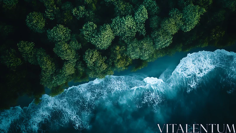 Forest shoreline meets crashing turquoise ocean surf.