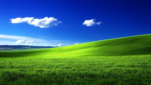 Emerald hillside hums quietly beneath a deep cobalt sky