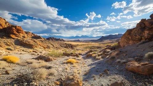 Rocky desert valley extends toward distant mountain range