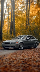 Silver sedan parked on forest road amid autumn foliage.