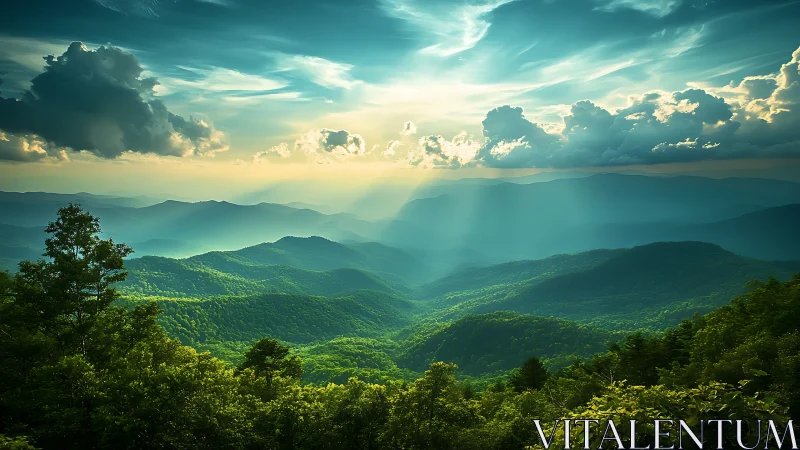 Sunlit mountain valleys wrapped in quiet rolling mist.