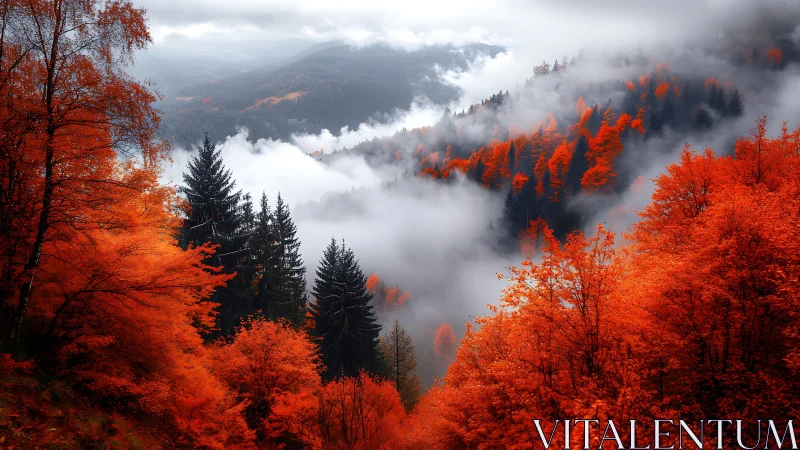 Misty Mountain Valley Draped in Brilliant Autumn Red