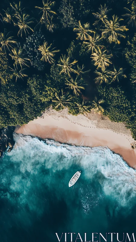 Aerial view of tropical island with boat and palm trees.