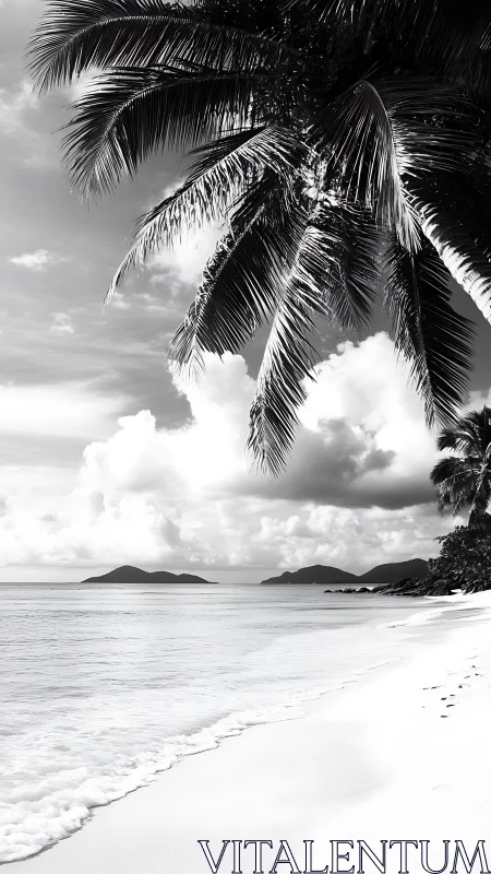 Monochromatic Tropical Seascape: Palm Fronds and Archipelago.