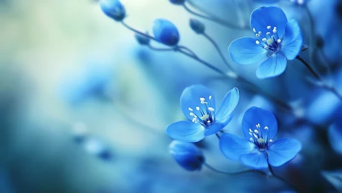 Delicate Blue Flowers Dance in Dreamy Light