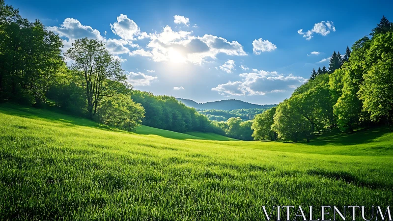 Sunlit green meadow bordered by dense forested hills.