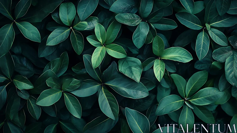 Emerald leaf chorus weaving a quiet forest heartbeat.